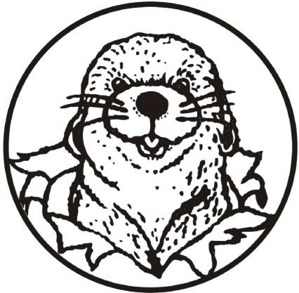 Hajós Alfréd Tanuszoda